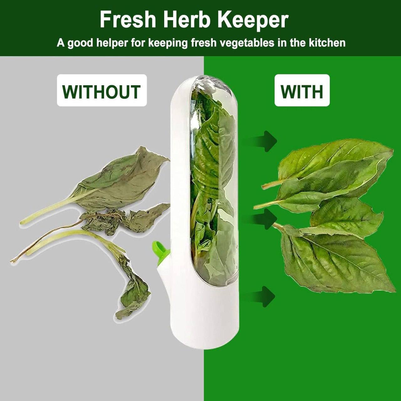 Fresh Herb Saver Pods – Fresh Herb Keeper for Refrigerator | BPA-Free Transparent Storage for Mint,spinach,Basil,Parsley,Coriander,Green Garlic & More | Keeps Herbs Fresh Longer (6Wx25H cms)